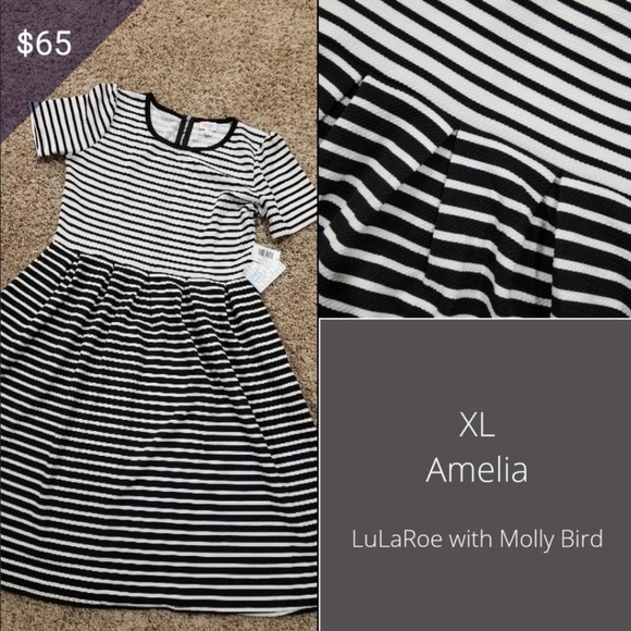 LLR Amelia XL - Picture 1 of 1